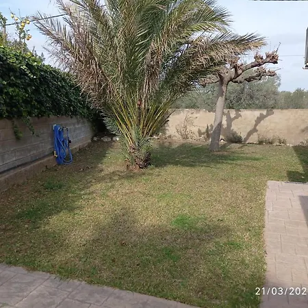 Agustina